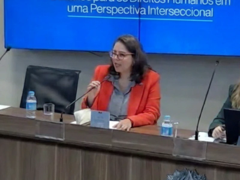Video thumbnail for Women victims of domestic violence in a migratory context – risks of applying the Convention without a gender perspective and without alignment with human rights standards