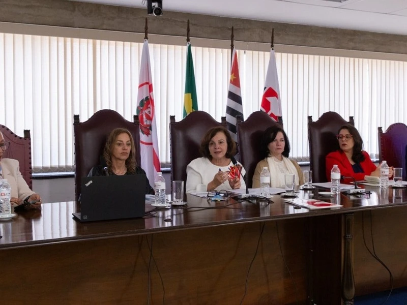 Video thumbnail for Connections between parental alienation arguments and the implementation of the Hague Convention as institutional gender-based violence