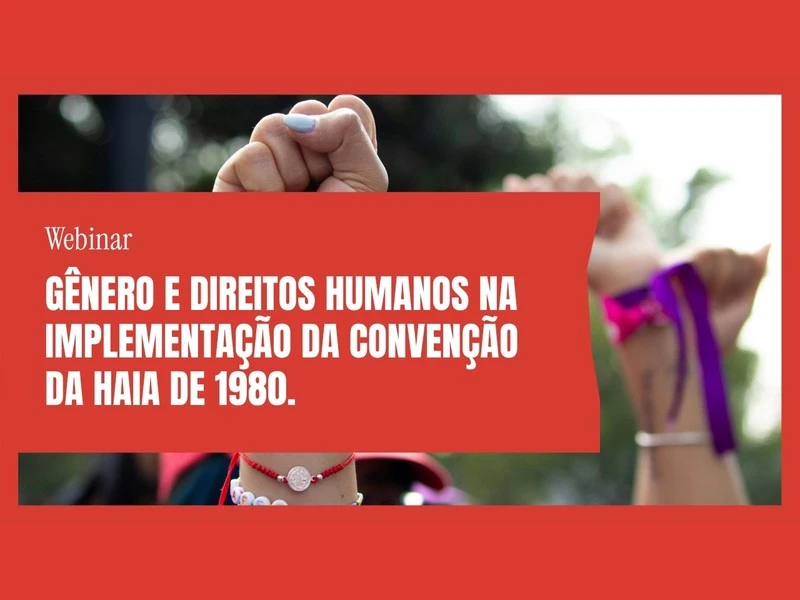Video thumbnail for Human Rights Standards & the 1980 Hague Convention: Protecting Women and Children Survivors of Domestic Violence