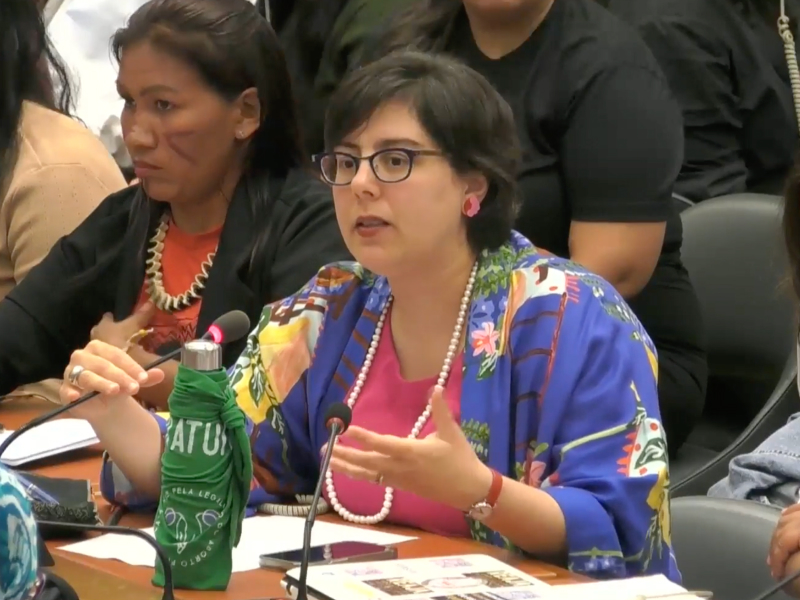 Video thumbnail for Representação CLADEM/Brasil na revisão do Brasil perante o Comitê CEDAW