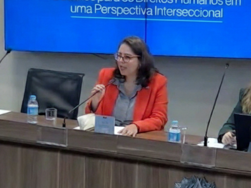 Video thumbnail for Women victims of domestic violence in a migratory context – risks of applying the Convention without a gender perspective and without alignment with human rights standards